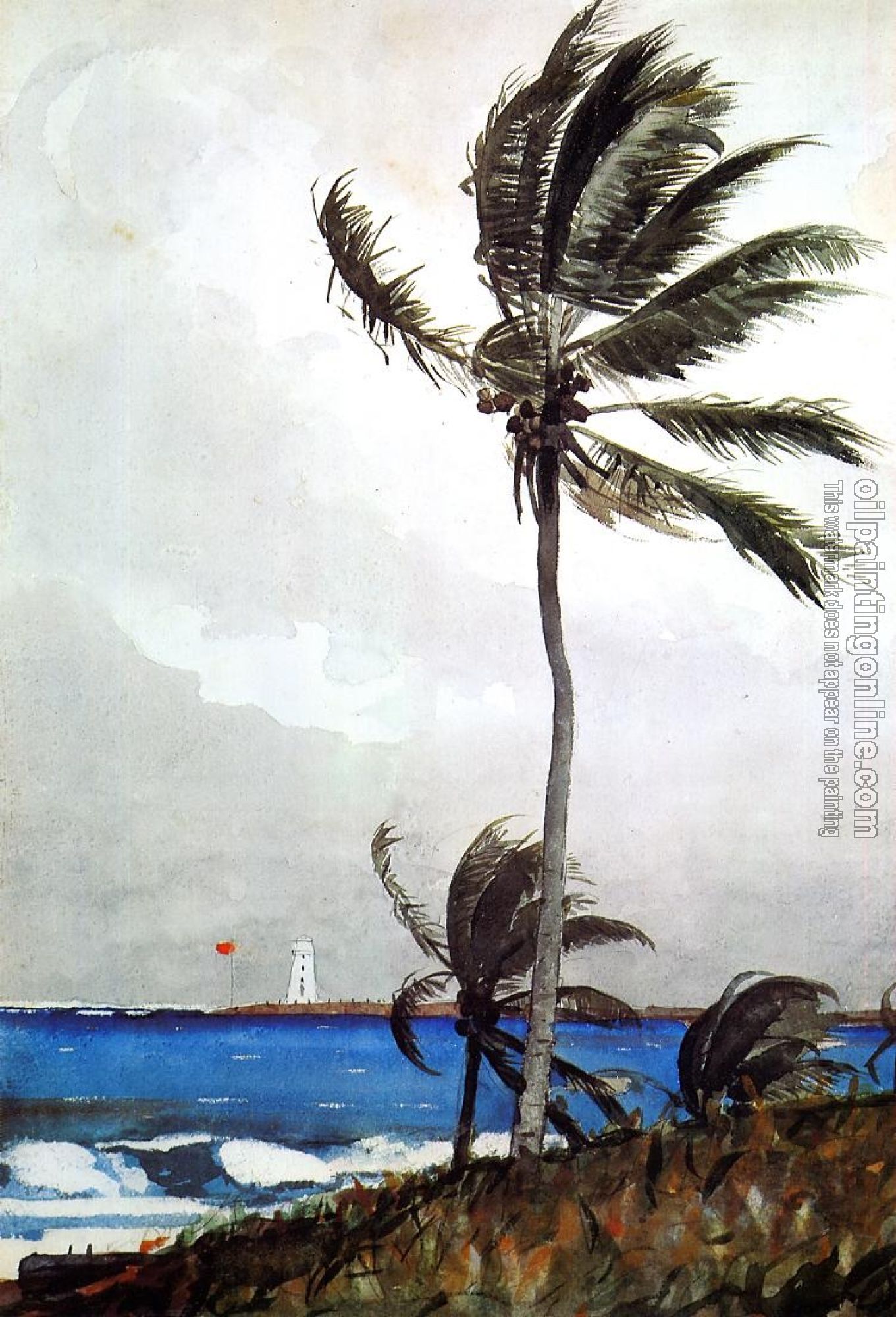 Homer, Winslow - Palm Tree, Nassau